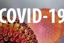 Cập nhật 7h ngày 15/6: Nhiều bang Mỹ tăng đột biến số người nhiễm Covid-19, nguy cơ Pakistan có hơn 1 triệu ca vào tháng 7