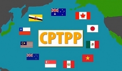 Kinh tế toàn cầu ảnh hưởng do Covid-19, các thành viên CPTPP cân nhắc tổ chức Hội nghị bộ trưởng