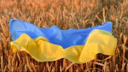 Nga chính thức mở đường cho ngũ cốc Ukraine qua Biển Azov