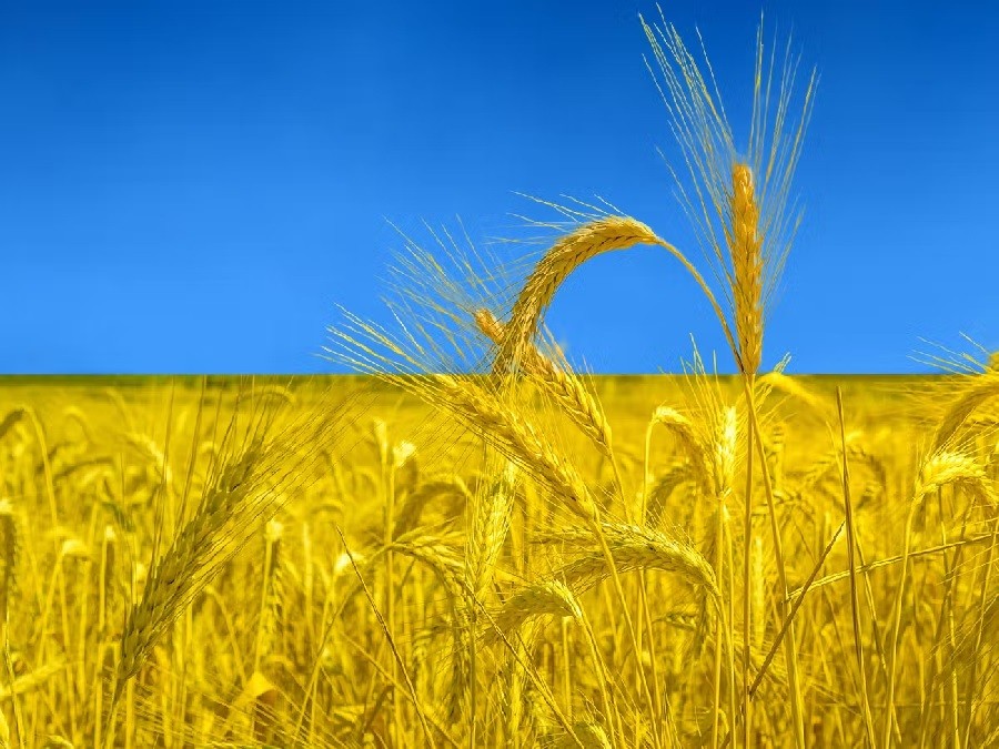 Khủng hoảng lương thực: EU vạch ranh giới, Nga đổ tại chính sách của phương Tây. (Nguồn: Alamy)