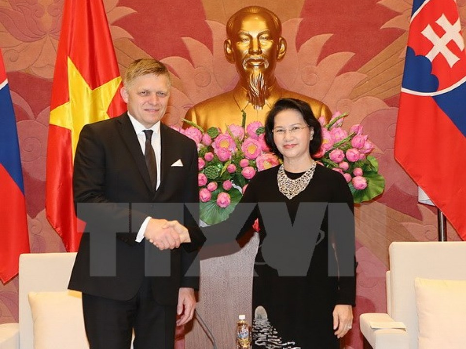 Slovakia muốn hợp tác lĩnh vực kinh tế thế mạnh với Việt Nam