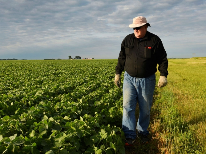 ​Mỹ hỗ trợ 12 tỷ USD cho nông dân bị thiệt hại do các đòn trả đũa thương mại
