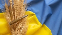 6 tháng xung đột với Nga, xuất khẩu lương thực của Ukraine giảm gần một nửa