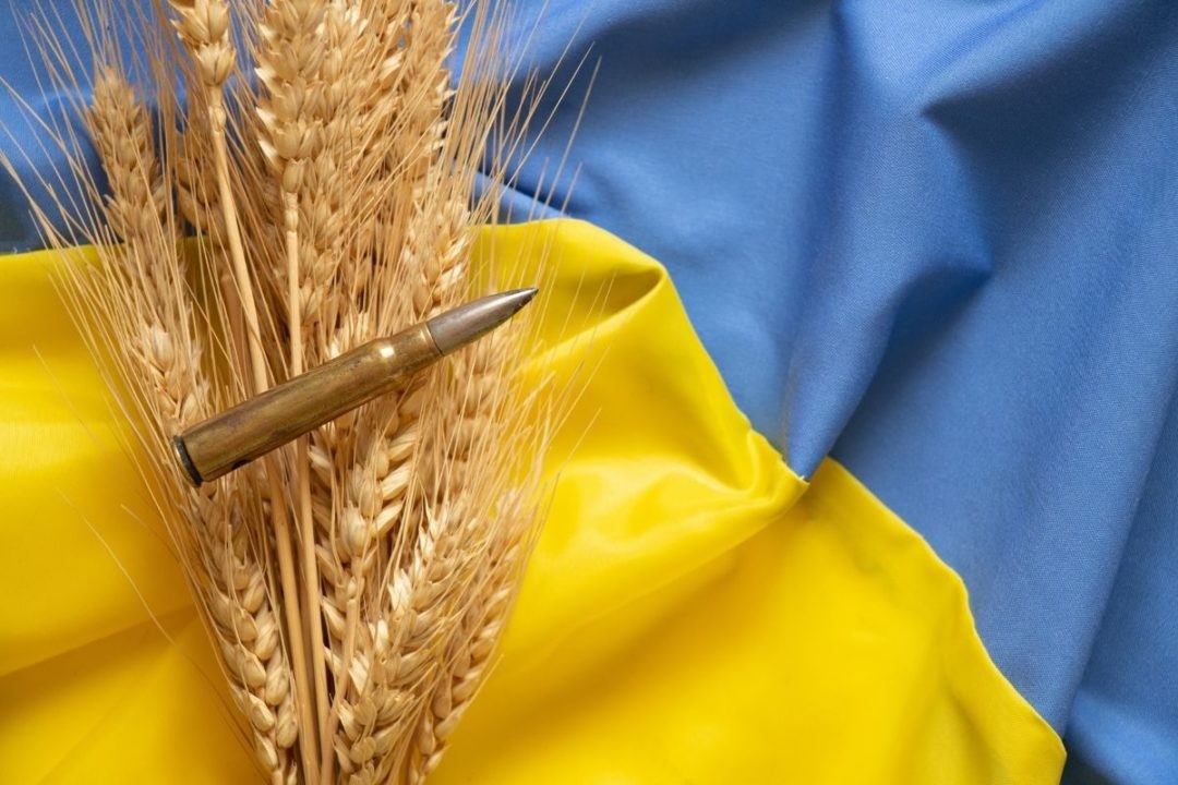 Ngũ cốc Ukraine