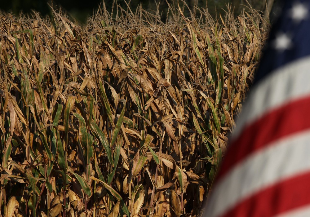Trung Quốc thông báo bắt đầu mua thêm hàng nông sản Mỹ