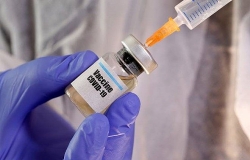 Trung Quốc sẽ thử nghiệm vaccine Covid-19 từ tế bào côn trùng