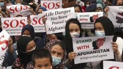 Vấn đề người tị nạn Afghanistan: Biểu tình ở Indonesia; Vatican đàm phán với Taliban