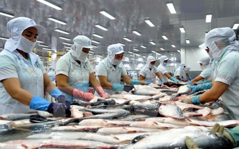 Xuất khẩu ngày 13-17/6: Cơ hội 'vàng ròng' cho cá tra Việt tại thị trường Mỹ; 27 mặt hàng xuất khẩu vượt 1 tỷ USD