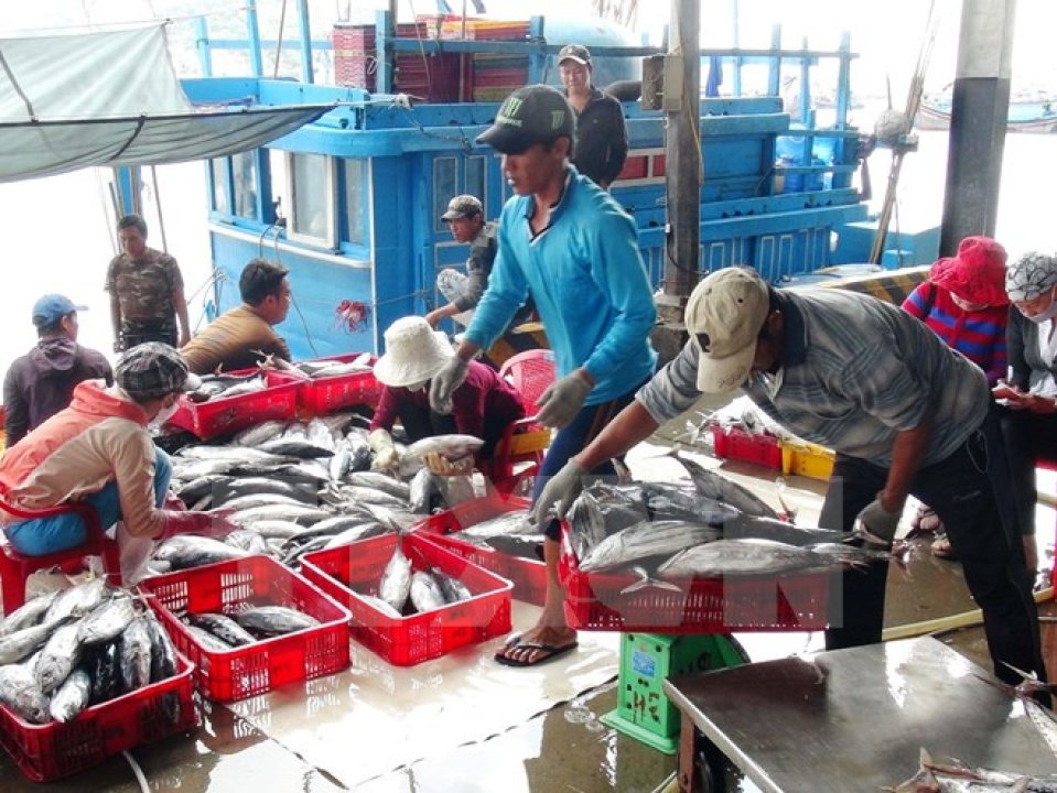 Đề nghị lập bản đồ vùng biển cấm khai thác cá tầng đáy tại 4 tỉnh