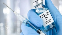 Cuộc đua vaccine Covid-19: Lượng vaccine khổng lồ có thể 'ra lò', vận chuyển và bảo quản gặp khó