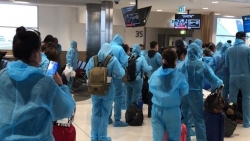 Gần 350 công dân Việt Nam từ Australia và New Zealand trở về nước an toàn