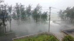 Tổng Lãnh sự quán Việt Nam ở Fukuoka: Tìm thấy thi thể một thực tập sinh Việt Nam mất tích sau siêu bão Haishen