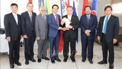 ASEAN 2020: Đại sứ các nước Đông Nam Á tại Nam Phi đánh giá cao nước Chủ tịch Việt Nam