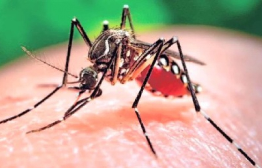 Mỹ: Bang Florida xác định thêm vùng lây nhiễm Zika mới