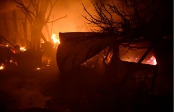 Bồ Đào Nha: Hơn 400 vụ cháy rừng xảy ra trong một ngày