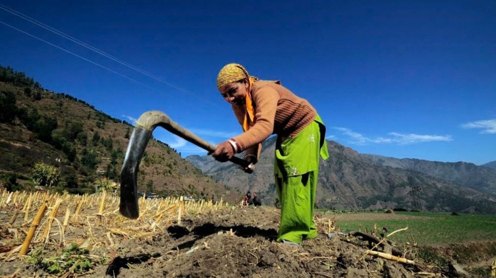 Hỗ trợ nông hộ nhỏ - Giải pháp bền vững chấm dứt nạn đói
