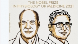 Công bố chủ nhân giải thưởng Nobel Y học - mùa giải Nobel 2021 bắt đầu
