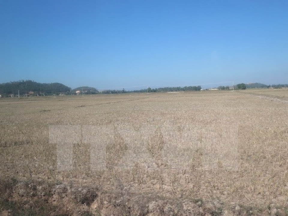 viet nam vay adb 170 trieu usd de ung pho bien doi khi hau