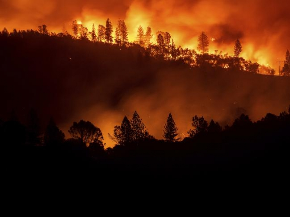 Thông tin về tình hình người Việt trong thảm họa cháy rừng tại California