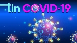 Cập nhật Covid-19 ngày 19/11: Toàn cầu tiếp 'kỷ lục chết chóc'; Dịch hoành hành, Mỹ 'sắp cấp phép' vaccine; Nhật-Hàn cảnh giác tối đa