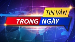 Tin thế giới 12/11: Ông Trump sẽ tranh cử lại nếu xác nhận thua? Thế giới đua nhau điện đàm với ông Biden; Mỹ-Trung Quốc bắt tay hạ nhiệt căng thẳng?