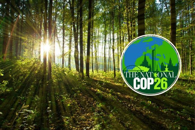 Thượng đỉnh COP26: Hơn 100 lãnh đạo thế giới cam kết bảo vệ 'lá phổi của hành tinh'. (Nguồn: The Nation)