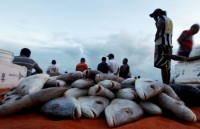 toa an brazil mo rong dieu tra cao buoc doi voi tong thong