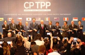 CPTPP boosts economic integration in Asia Pacific