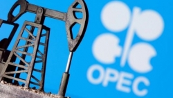 OPEC+ nhất trí tăng sản lượng dầu từ tháng 1/2021, giá 'vàng đen' lập tức tăng