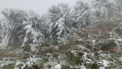 Dự báo thời tiết ngày và đêm nay (19/12): Không khí lạnh tăng cường, Bắc Bộ và Bắc Trung Bộ rét đậm, rét hại, khả năng vùng núi cao có sương muối
