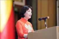 Đại sứ quán Việt Nam tại Singapore tổ chức đón Tết Canh Tý 2020