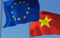 Việt Nam tiếp tục phát triển quan hệ đối tác với Anh và EU hậu Brexit