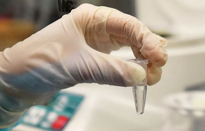 Covid-19: Nga giải mã thành công bộ gien SARS-CoV-2, Indonesia khởi động dự án vaccine