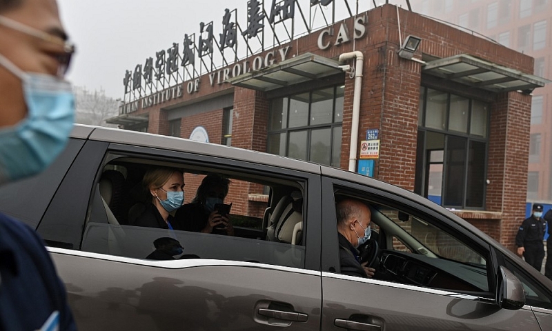 Thượng nghị sĩ Mỹ kêu gọi Quốc hội điều tra sự liên quan giữa Mỹ và Viện virus học Vũ Hán