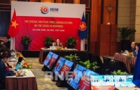 Hội nghị Bộ trưởng Kinh tế ASEAN+3 trực tuyến đặc biệt về ứng phó dịch Covid-19