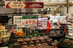 Vietnamese farm produce promoted in Japan