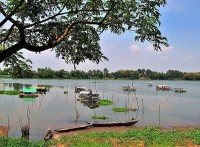 Kỳ thú búng Bình Thiên