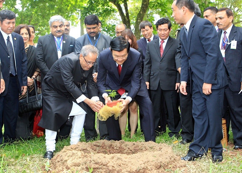 Chủ tịch nước Trương Tấn Sang và Tổng thống Ấn Độ Pranab Mukherjee trồng cây Bồ đề trong Khu di tích Chủ tich Hồ Chí Minh tại Phủ Chủ tịch, ngày 15/9/2014. (Nguồn: TTXVN)