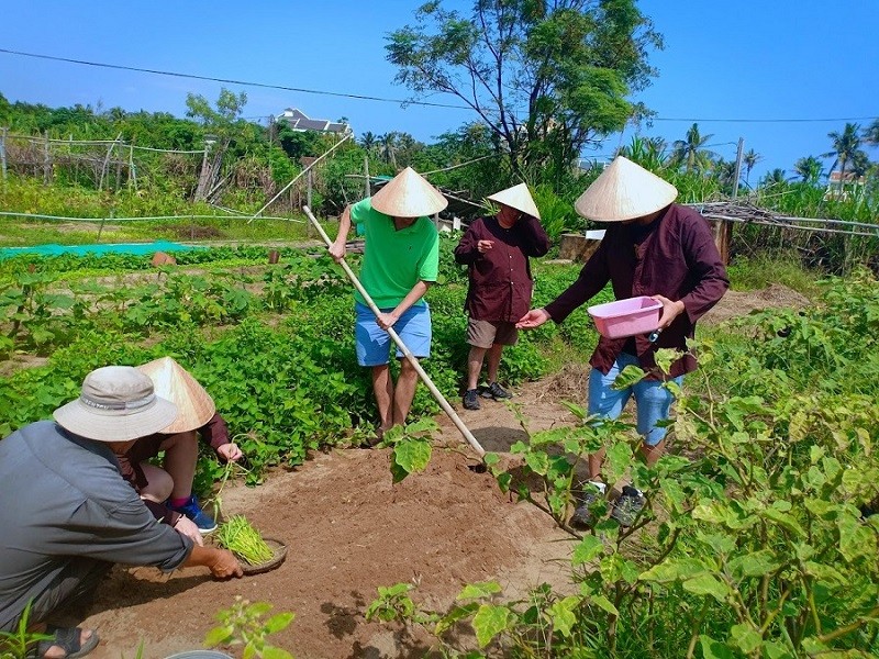 Quang Nam Province: Green tourism development orientation