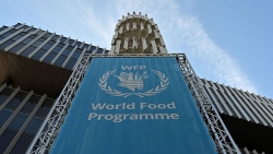 Giải Nobel Hòa bình 2020 và thông điệp về bảo đảm an ninh lương thực toàn cầu