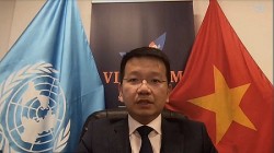 Việt Nam đồng bảo trợ cuộc họp Hội đồng Bảo an Liên hợp quốc về tình hình Haiti