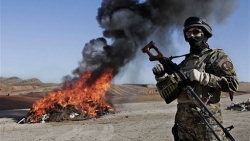 Afghanistan: Tiêu hủy công khai hơn 24 tấn ma túy