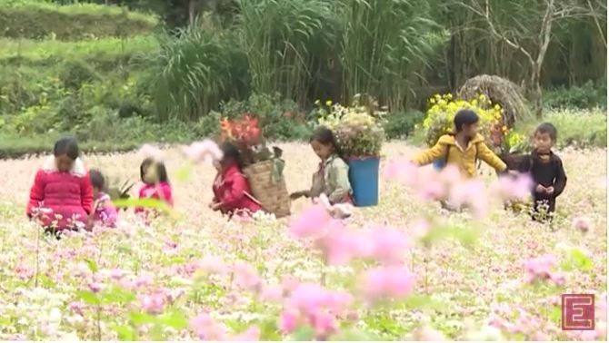 Lần đầu tiên tỉnh Hà Giang tổ chức một chương trình trải nghiệm du lịch trực tuyến nhằm quảng bá Lễ hội Hoa tam giác mạch và hình ảnh du lịch Hà Giang. (Ảnh chụp màn hình)