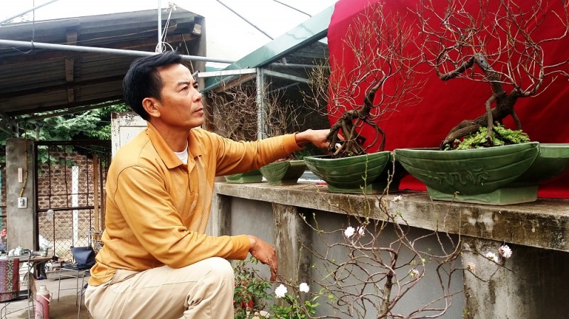 xu the moi trong choi cay ngay tet