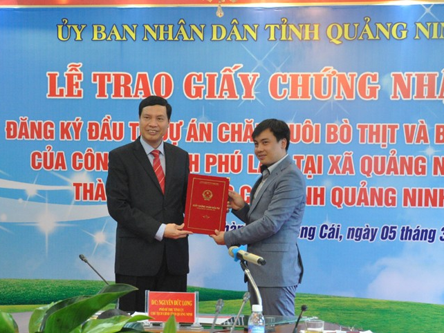 Triển khai dự án nuôi bò lớn nhất Quảng Ninh