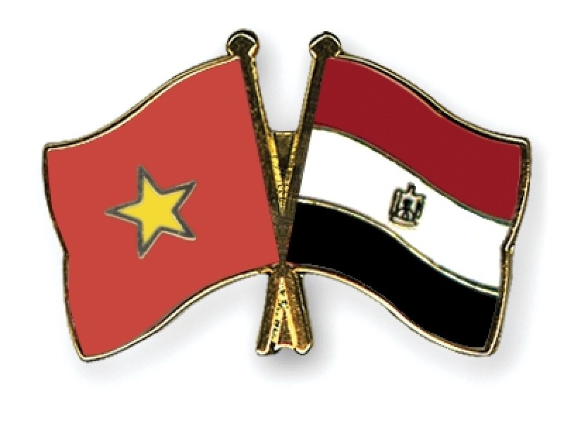 Việt Nam và Ai Cập tăng cường trao đổi kinh nghiệm trong hoạt động thanh tra