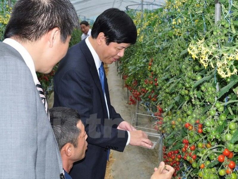 Tỉnh Wakayama muốn tăng hợp tác du lịch, ngư nghiệp với Việt Nam