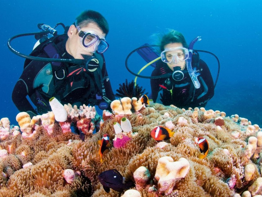 Bảo tồn rạn san hô