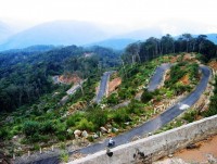 da lat huong den do thi thong minh