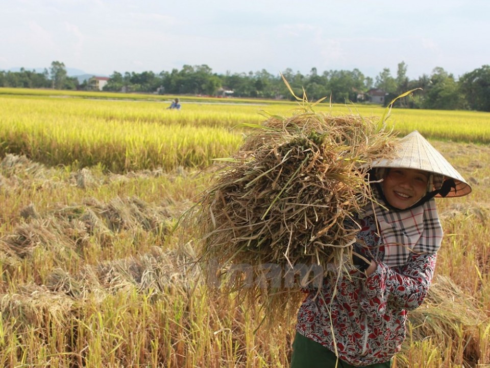 nhieu thanh tuu ve bao dam quyen con nguoi da duoc ghi nhan